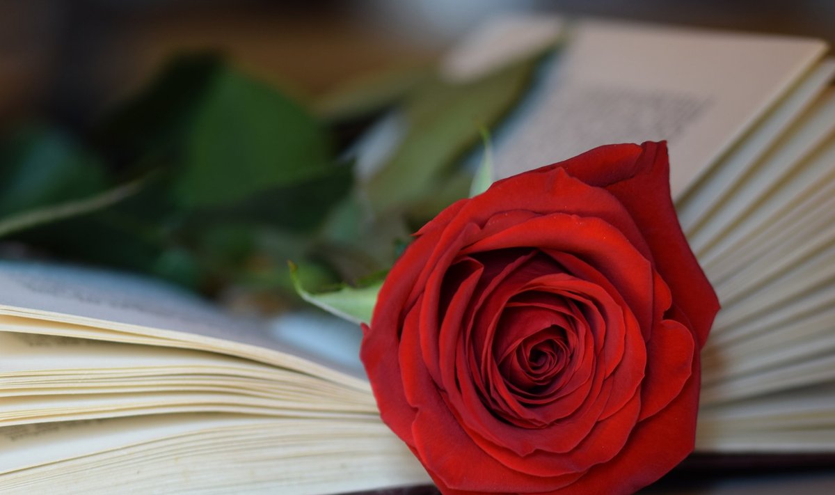 Jüripäev on ka raamatu ja roosi päev.