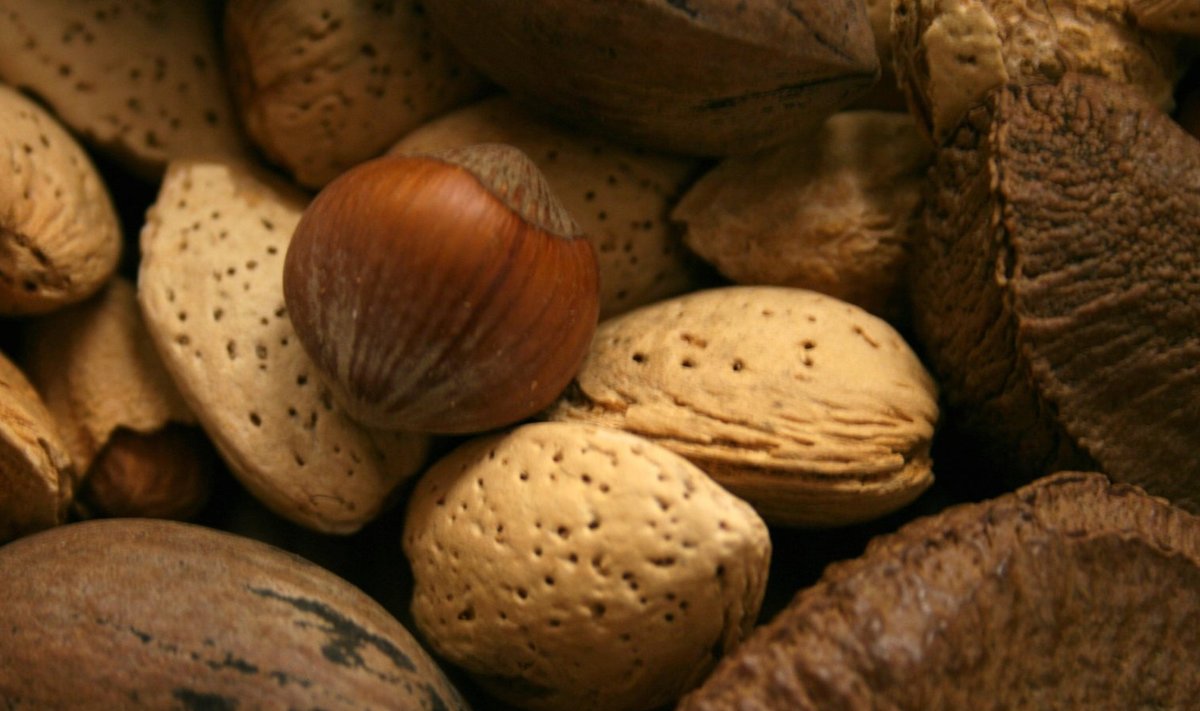 Pähklid