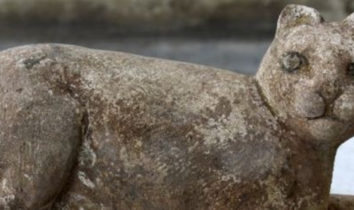 Kassjumal Basteti kuju, mis leiti Egiptusest Aleksandria linnast kuninganna Berenikele, kuningas Ptolemaios III (246–222 eKr) naisele kuulunud templist. 