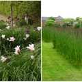 AIADISAINER | Kujunda kõrreliste abil lihtsasti hooldatav aed