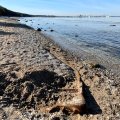 FOTOD | Põnev leid Pirita rannas: kohalik elanik avastas vana paadi metallraami