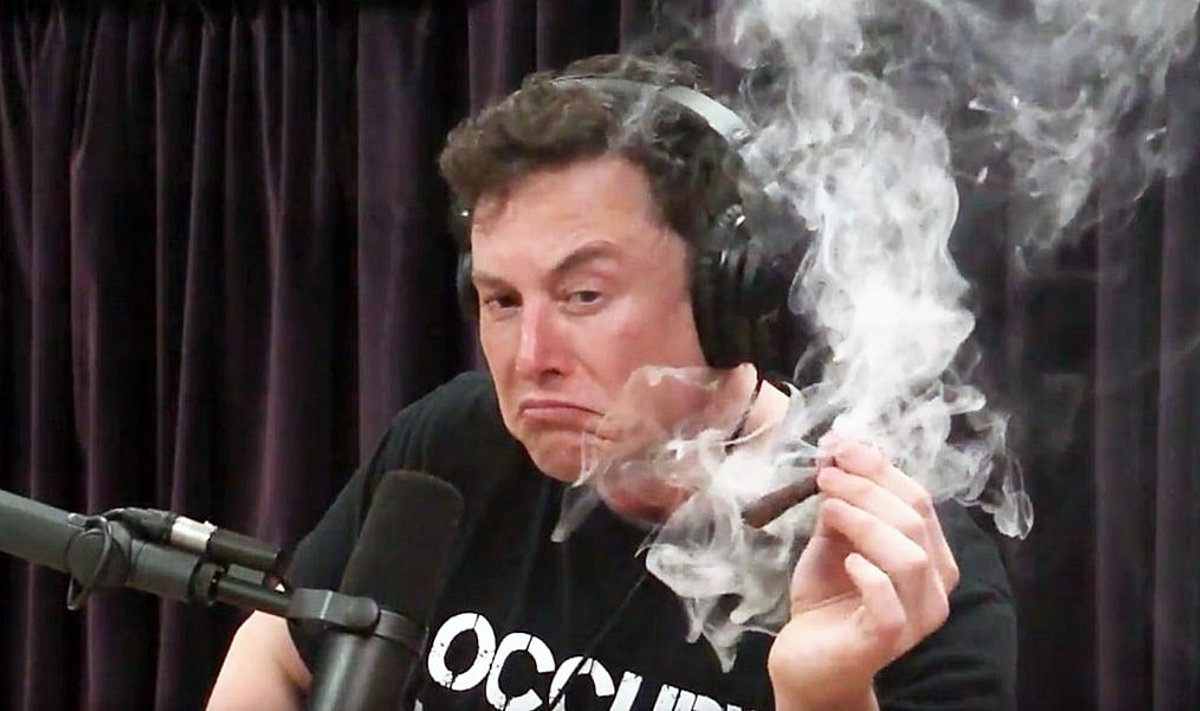 Elon Musk