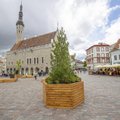 KOLUMN | Janek Mäggi: Elu peab olema fun, töö on lollidele! Tulevik on mustade päralt!