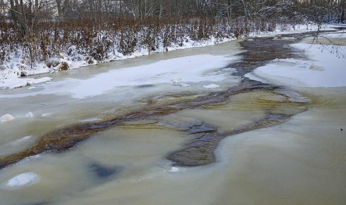 Velise jõkke Raplamaal voolab 10 km pikkune Velise peakraav, millest 2016. aasta sügisel võetud proovist leiti glüfosaati.