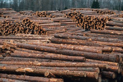 Combimill tegutseb keerulisi aegu üle elaval puiduturul.