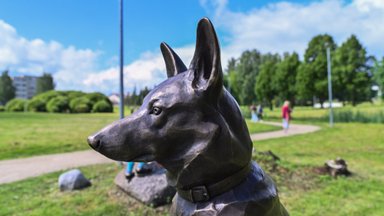 GALERII | Legendaarse linnapea sajandi vanune koer asus valvama Viljandi koerteväljakut