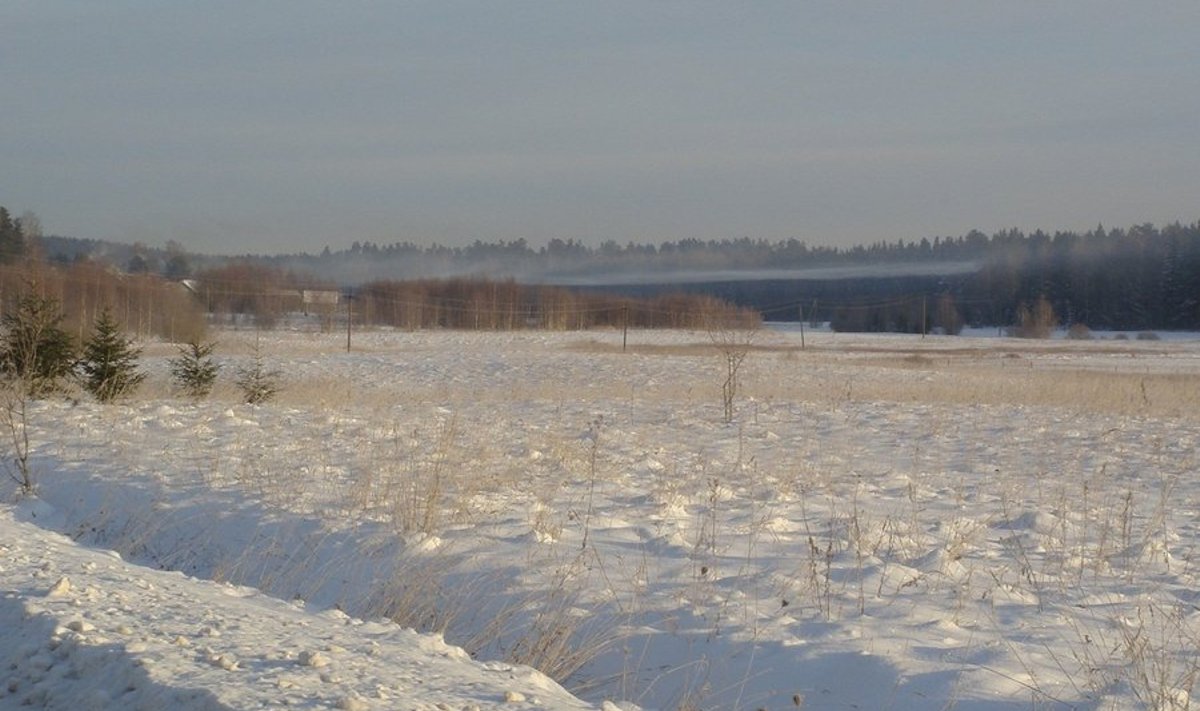 Korstnasuits teeb maapinna lähedal seisva külma õhukihi nähtavaks (30. jaanuari hommik). Foto: Marko Kaasik.