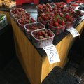 Turgudel on moes muusikalise nimega maasikad