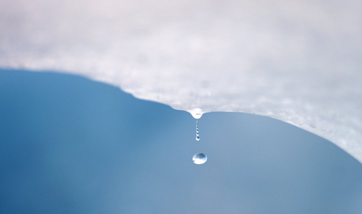 A drop of water falls from a melting piece of ice on Argentina's Perito Moreno glacier near the city of El Calafate