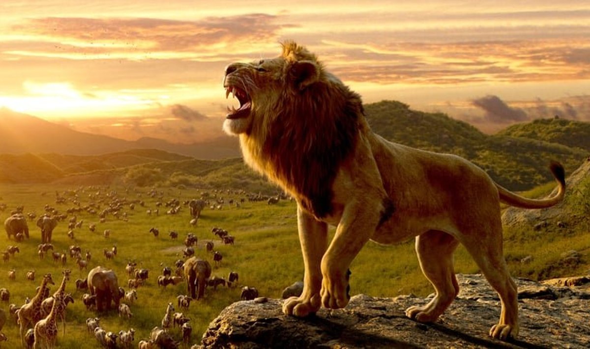 Illustreerival eesmärgil kaader mullusest menufilmist "The Lion King" (foto: tootjad – Walt Disney, Fairview, BFC)