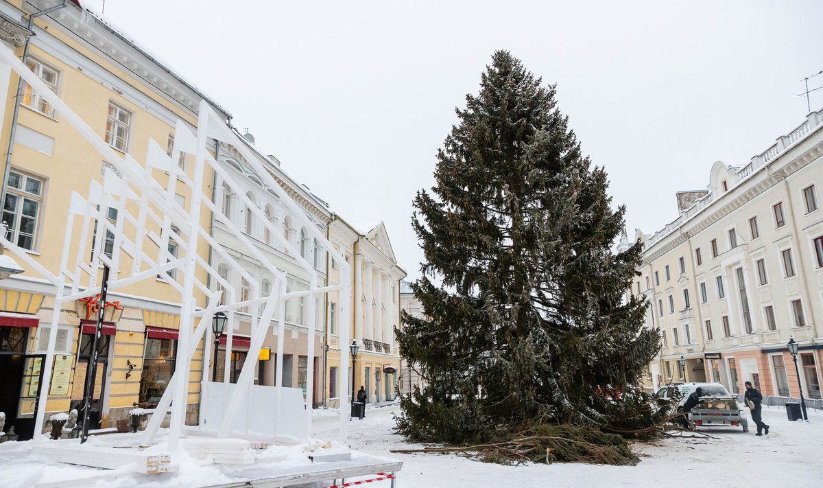 Tartu linna jõulupuu 2023