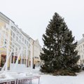 ФОТО | Приключения закончились: рождественская ель наконец добралась до Тарту из Ида-Вирумаа 