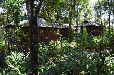 Maapinnast kõrgemale, džunglilaadse looduse keskele ehitatud majakesed, mille omanik püüdleb selle poole, et turistid peatuksid Indias kohalikes kodumajutustes, mis majandaksid vastutustundlikult ja looduse suhtes jätkusuutlikult. 
