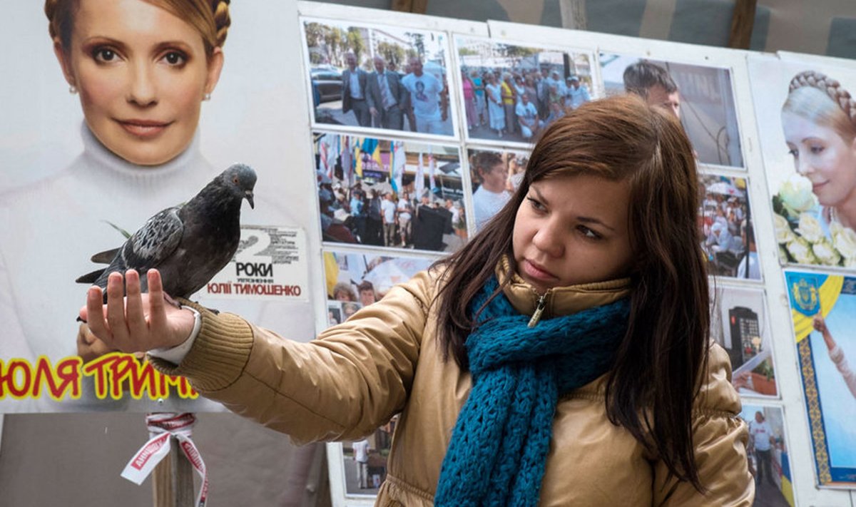 Tõmošenko toetaja toitmas tuvi Kiievis ekspeaministri vabastamist nõudva protestitelgi juures. 