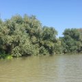 ФОТО и ВИДЕО читателя Delfi: Украинская Венеция, или Жизнь на воде