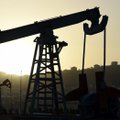 Naftatootmise mahukärbe on võimalik: OPEC rääkis läbi organisatsiooni mittekuuluvate tootjatega