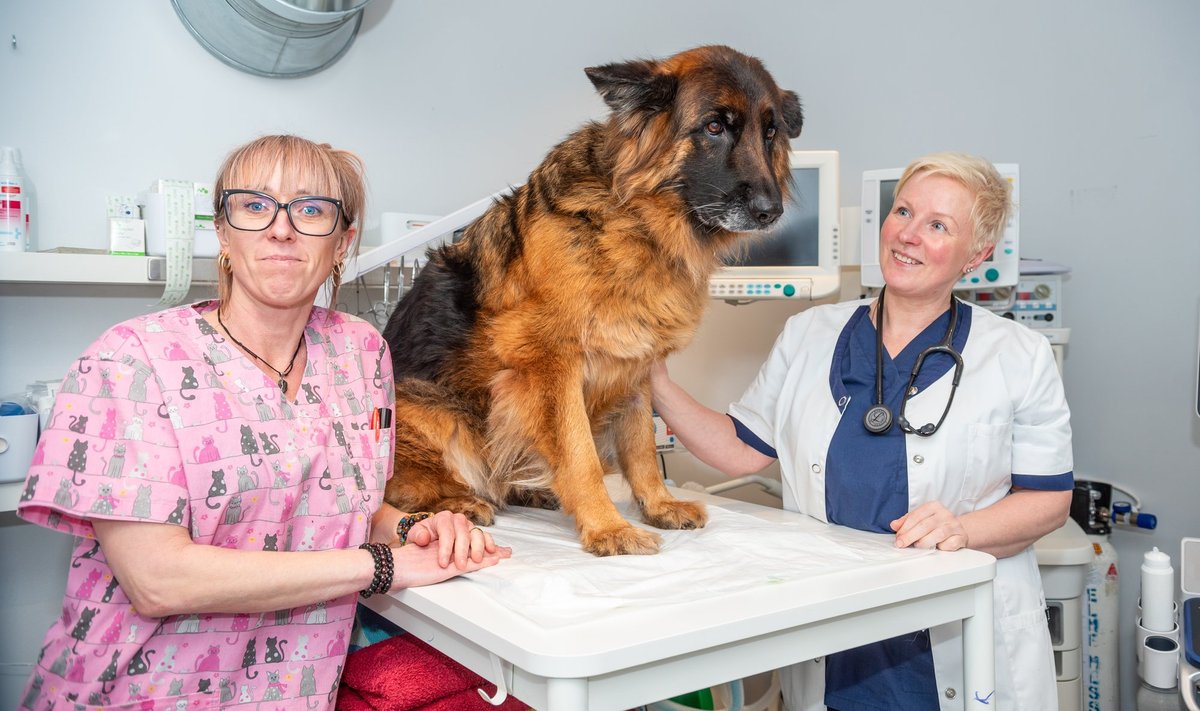 Meditsiiniõe ja veterinaarassistendi haridusega Pirko Tuus (vasakul) on dr Säre parem käsi.