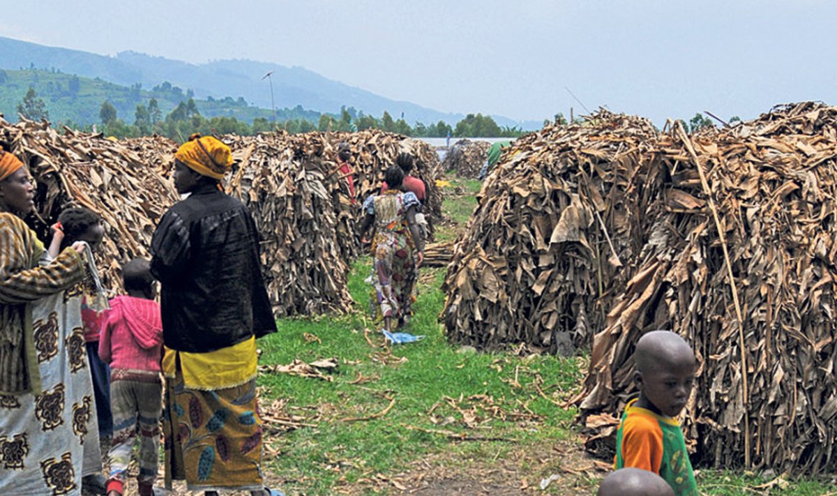 Sellistes onnides elavad  inimesed, kes on pidanud  oma kodudest lahkuma kas  sõja või vulkaanipurske tõttu.  Nyiragongo on tegev kiht­vulkaan Virunga mäestikus  umbes 20 km kaugusel Gomast ja Kivu järvest. Vulkaan on  vaheaegadega pursanud 2002. aastast alates.