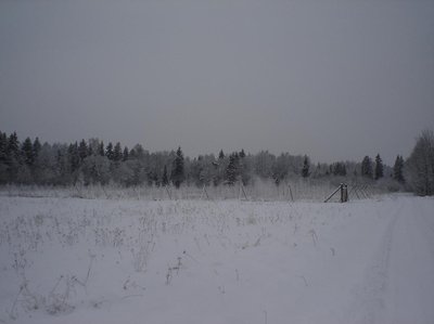 Koht, kus on Kruusiaugu mets, 18 aastat tagasi.