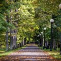 Таллинн вошел в число лучших городов мира для пеших прогулок