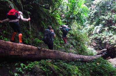 Lääne-Kalimantan. Matk džunglis.