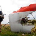 ЕС: виновные в трагедии MH17 должны быть наказаны