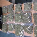 FOTO: Maksuamet konfiskeeris smugeldajatelt 4 kilo marihuaanat