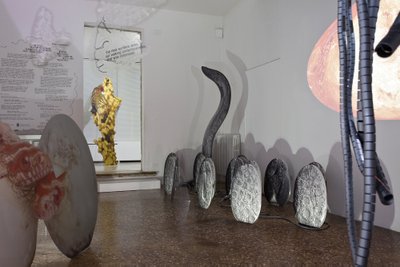 Katja Novitskova projekt „Kui sa vaid näeksid, mida ma su silmadega olen näinud“ Veneetsia biennaalil 2017