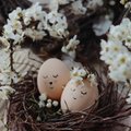 Украшаем пасхальные яйца: 6 необычных идей