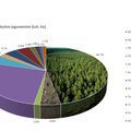 Kas metsastatistika valetab? Teadlased andsid esmase hinnangu