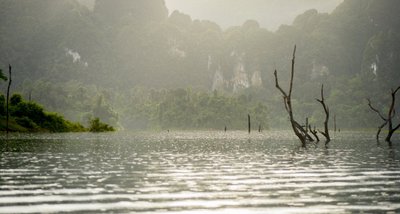 Keset järve välja turritavad kuivanud puud on mälestus kunagisest vihmametsast.  