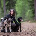 VIDEO | Naiskütt ja koerajuht Anneli Lints jahikoertest: see, kui jahimees ettenägematutel põhjustel haavab jahikoera, on väga raske