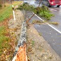Puid räsiv ja ümber lükkav tormituul häirib Tallinna-Tartu maanteel liiklust