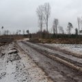 Eestimaa Looduse Fondi ootus uuele valitsusele: raiemahtude vähendamise järele on karjuv vajadus