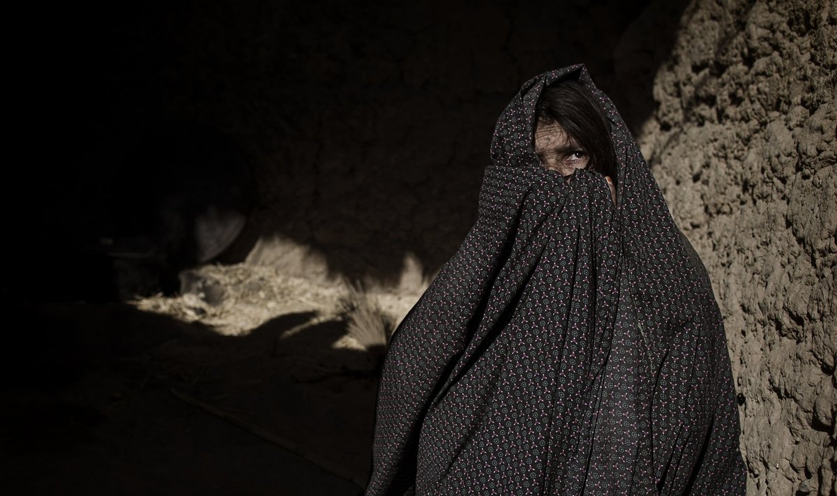 Isevalmistatud lõhkekeha plahvatuses oma poja kaotanud malaariahaige afgaani naine ei näe ilmselt aega, mil tema kodumaa on vaba nii lääne kui ka Talibani võitlejatest.