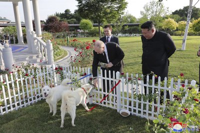 Putin ja Kim vaatasid Pungsani koeri.