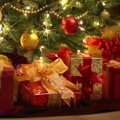 TOIDUREPLIIK | Kuuse all on kints sinki ehk mida kinkida jõuludeks?