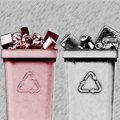 Проверка показала, что большинство жителей Таллинна не умеют правильно сортировать мусор