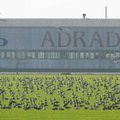 Hanesid on kevadeti põldudel üha rohkem, linnud tekitavad põllumeestele mitme miljoni euro eest kahju