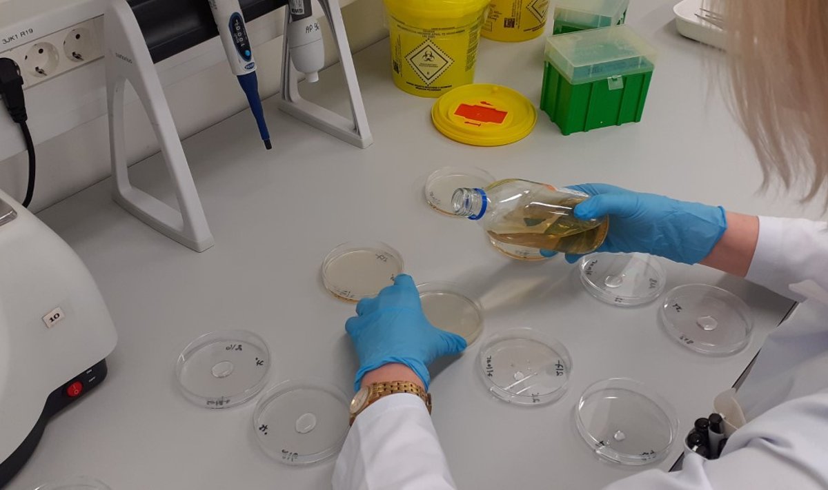 Kuressaare joogivee analüüsimine terviseameti nakkushaiguste laboris