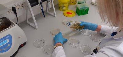 Kuressaare joogivee analüüsimine terviseameti nakkushaiguste laboris