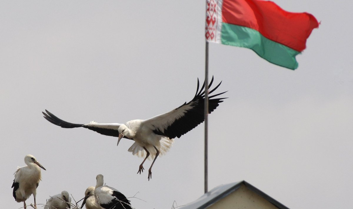 Valgevenemaa