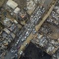Страшная засуха и лесные пожары в Чили: минимум 46 человек погибли, 200 пропали без вести