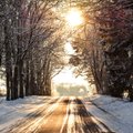ФОТО | Дух захватывает! Зима по-эстонски: сугробы, лесная сказка и заснеженные города