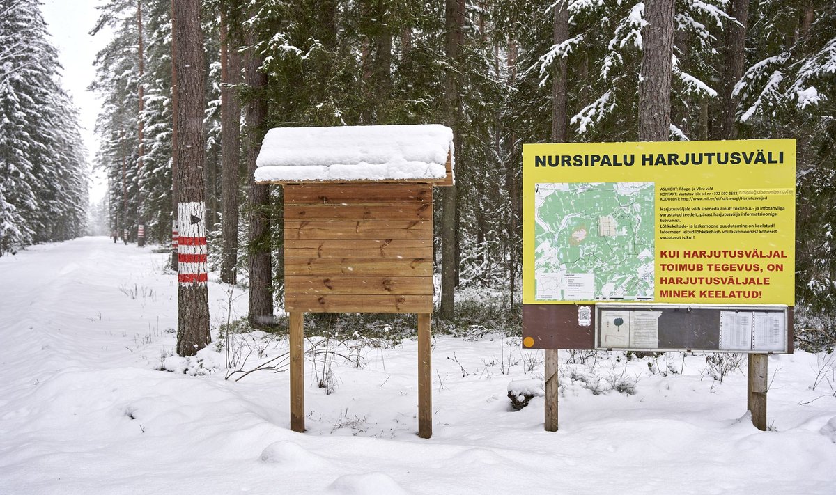 Nursipalu harjutusväljak