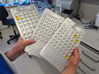 Kuressaare joogivee analüüsimine terviseameti nakkushaiguste laboris