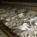 Vedaja ulatuslikust kemikaalilekkest Sondas ja Tapal: ettevõte kontrollis enne ohtlikku vedu rongi