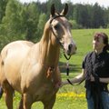 Unikaalne teadustöö: osad ahhal-tekiini hobused näitavad kiirust lühidistantsidel, teised on vastupidavad kestvusaladel
