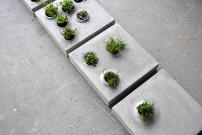 Betoonkonteineritest taimealused Gray to Green, disainer Caroline Brahme töö Greenworksile