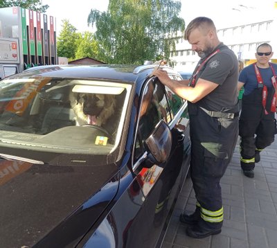 Спасатели пришли на помощь запертой в машине собаке